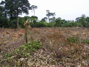 farming-is-farming-1