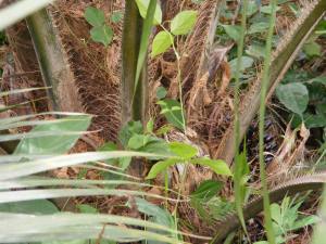 farming-is-farming-2-jpg2