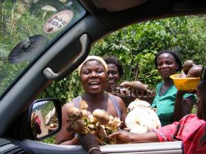 mushrooms-and-snails