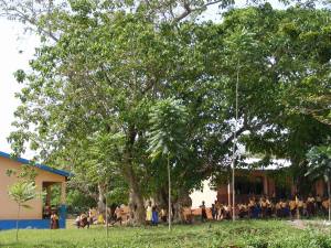 School children with trees after one year of growth
