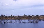 Volta Lake 1971